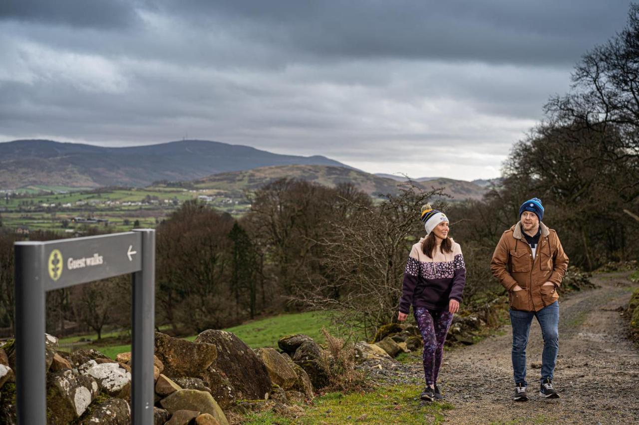 Killeavy Castle Estate Otel Meigh Dış mekan fotoğraf